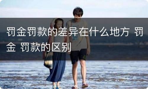 罚金罚款的差异在什么地方 罚金 罚款的区别