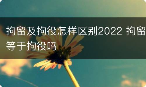 拘留及拘役怎样区别2022 拘留等于拘役吗
