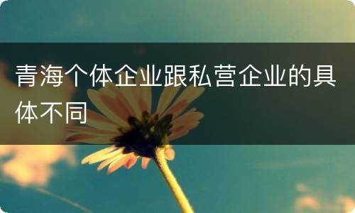 青海个体企业跟私营企业的具体不同