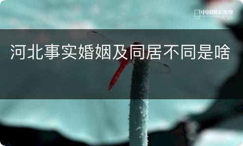 河北事实婚姻及同居不同是啥