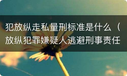 犯放纵走私量刑标准是什么（放纵犯罪嫌疑人逃避刑事责任）