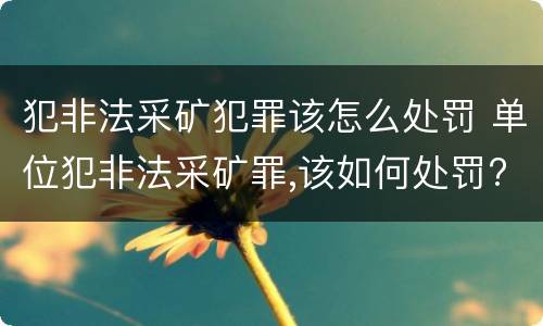 犯非法采矿犯罪该怎么处罚 单位犯非法采矿罪,该如何处罚?