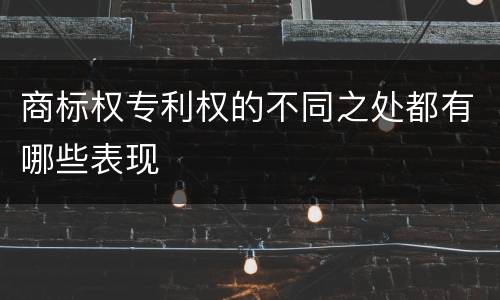 商标权专利权的不同之处都有哪些表现