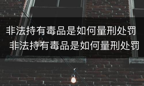 非法持有毒品是如何量刑处罚 非法持有毒品是如何量刑处罚的