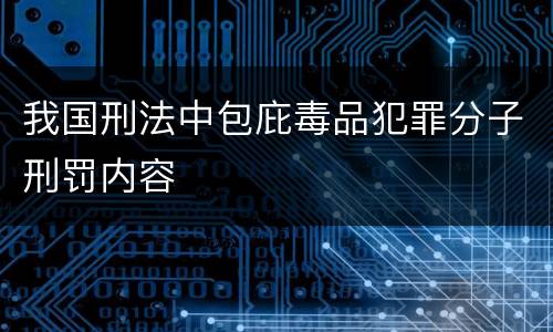 我国刑法中包庇毒品犯罪分子刑罚内容