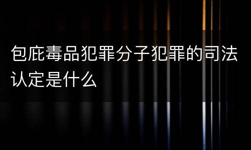包庇毒品犯罪分子犯罪的司法认定是什么