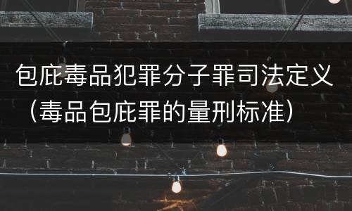 包庇毒品犯罪分子罪司法定义（毒品包庇罪的量刑标准）