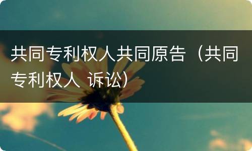 共同专利权人共同原告（共同专利权人 诉讼）