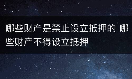 哪些财产是禁止设立抵押的 哪些财产不得设立抵押