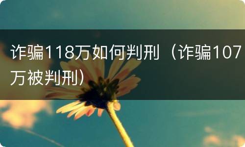 诈骗118万如何判刑（诈骗107万被判刑）
