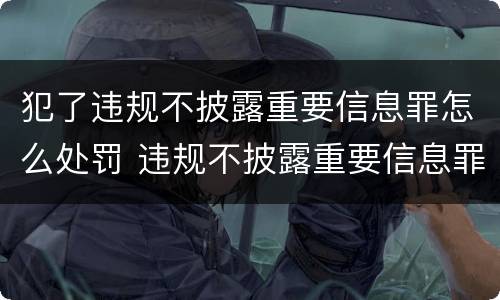 犯了违规不披露重要信息罪怎么处罚 违规不披露重要信息罪案例