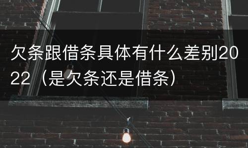 欠条跟借条具体有什么差别2022（是欠条还是借条）