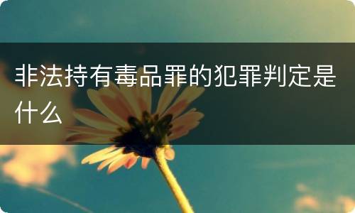 非法持有毒品罪的犯罪判定是什么