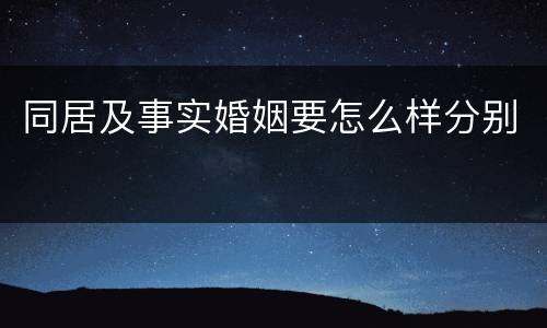 同居及事实婚姻要怎么样分别