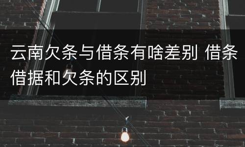 云南欠条与借条有啥差别 借条借据和欠条的区别