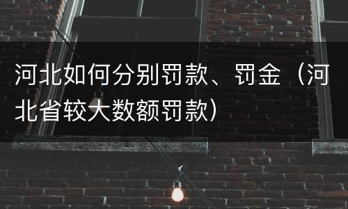 河北如何分别罚款、罚金（河北省较大数额罚款）