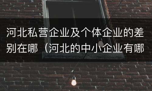 河北私营企业及个体企业的差别在哪（河北的中小企业有哪些）