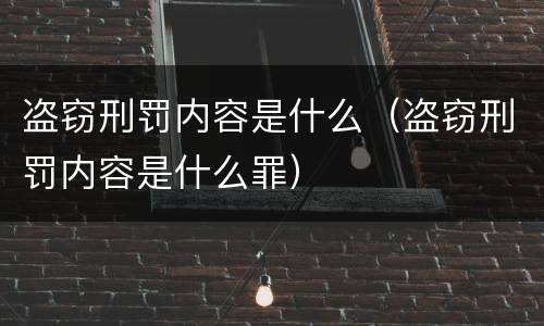 盗窃刑罚内容是什么（盗窃刑罚内容是什么罪）