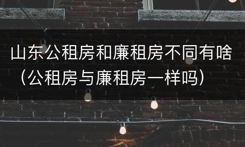 山东公租房和廉租房不同有啥（公租房与廉租房一样吗）