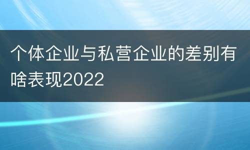 个体企业与私营企业的差别有啥表现2022