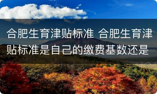 合肥生育津贴标准 合肥生育津贴标准是自己的缴费基数还是公司平均