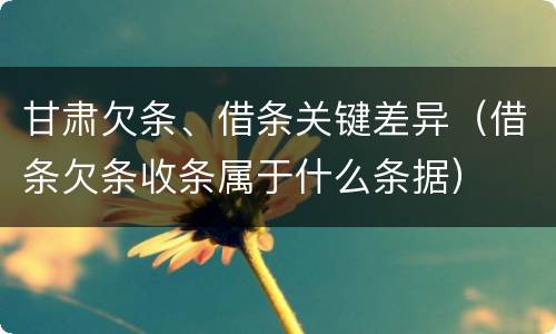 甘肃欠条、借条关键差异（借条欠条收条属于什么条据）