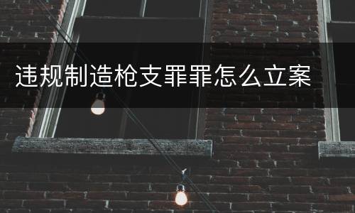 违规制造枪支罪罪怎么立案