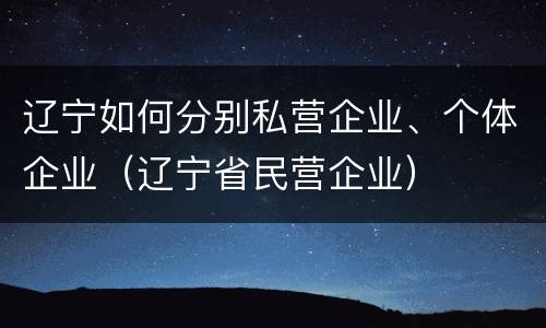 辽宁如何分别私营企业、个体企业（辽宁省民营企业）