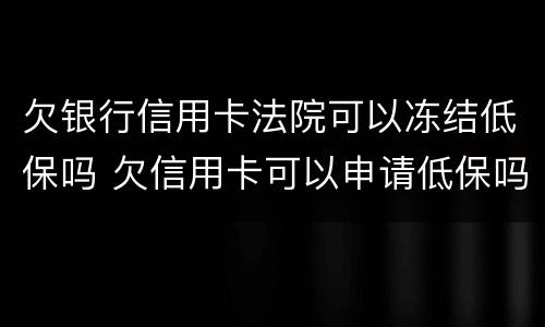 欠银行信用卡法院可以冻结低保吗 欠信用卡可以申请低保吗