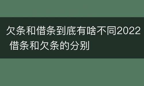 欠条和借条到底有啥不同2022 借条和欠条的分别
