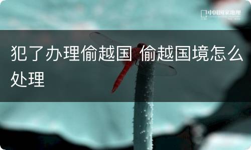 犯了办理偷越国 偷越国境怎么处理