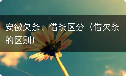 安徽欠条、借条区分（借欠条的区别）