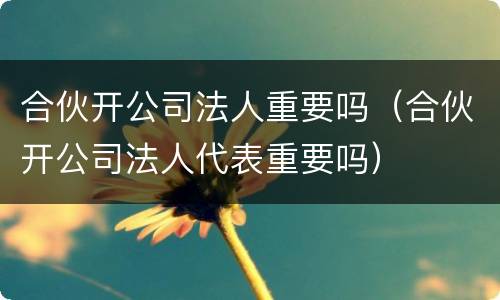 合伙开公司法人重要吗（合伙开公司法人代表重要吗）