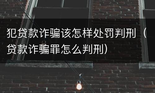 犯贷款诈骗该怎样处罚判刑（贷款诈骗罪怎么判刑）