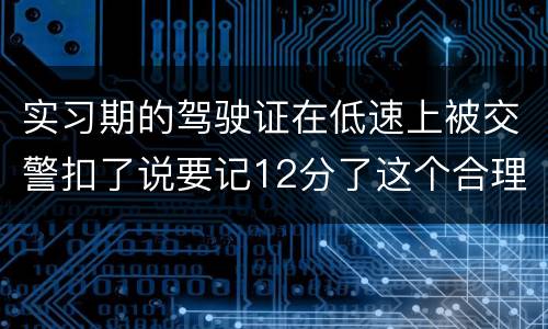 实习期的驾驶证在低速上被交警扣了说要记12分了这个合理吗