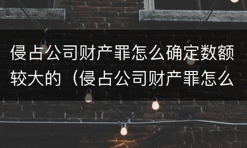 侵占公司财产罪怎么确定数额较大的（侵占公司财产罪怎么确定数额较大的量刑）