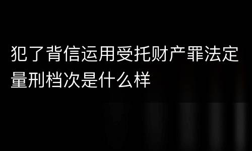 犯了背信运用受托财产罪法定量刑档次是什么样