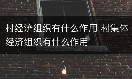 村经济组织有什么作用 村集体经济组织有什么作用