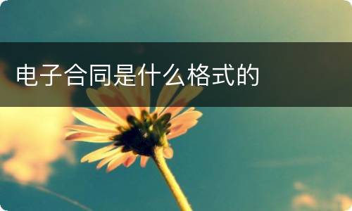 电子合同是什么格式的