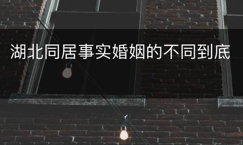 湖北同居事实婚姻的不同到底