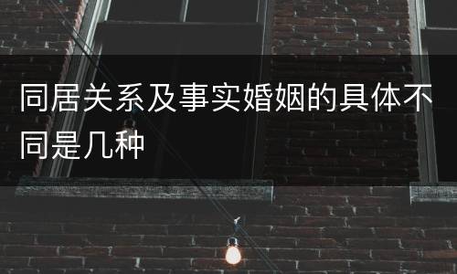 同居关系及事实婚姻的具体不同是几种