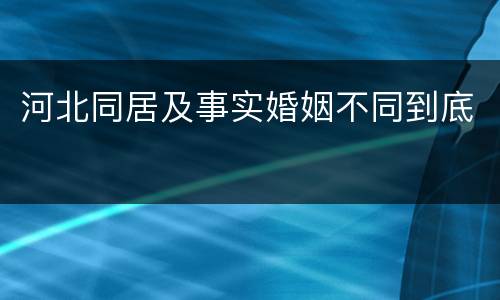 河北同居及事实婚姻不同到底