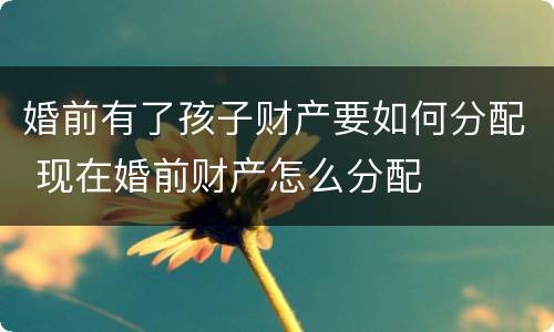 婚前有了孩子财产要如何分配 现在婚前财产怎么分配