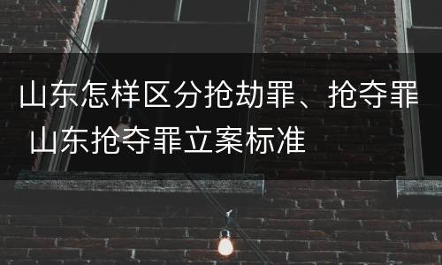 山东怎样区分抢劫罪、抢夺罪 山东抢夺罪立案标准