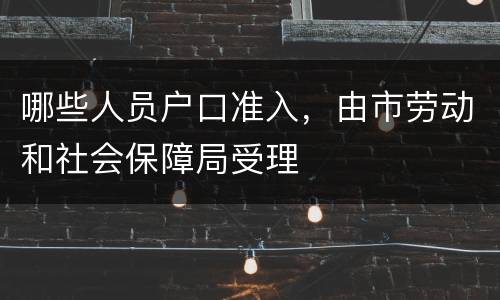 哪些人员户口准入，由市劳动和社会保障局受理