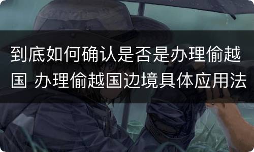 到底如何确认是否是办理偷越国 办理偷越国边境具体应用法律的解释
