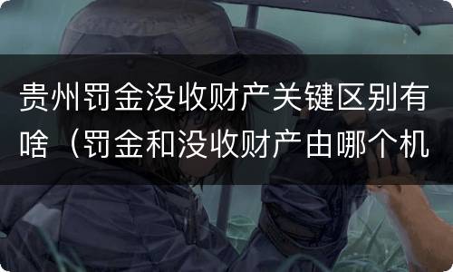 贵州罚金没收财产关键区别有啥（罚金和没收财产由哪个机关执行）