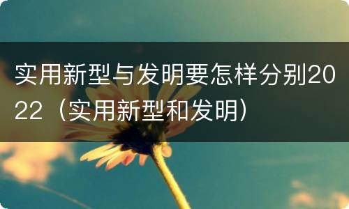 实用新型与发明要怎样分别2022（实用新型和发明）