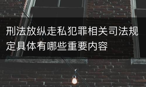 刑法放纵走私犯罪相关司法规定具体有哪些重要内容