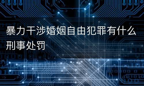 暴力干涉婚姻自由犯罪有什么刑事处罚